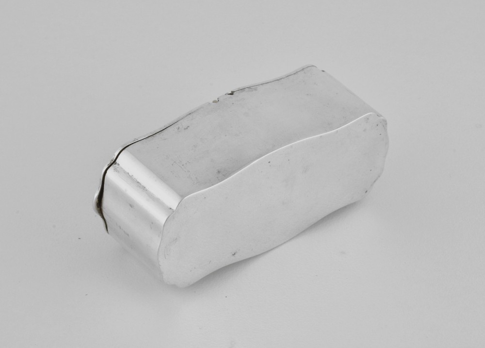 Antique Austrian Victorian Solid Silver Double Lidded Snuff Box, Royal Interest