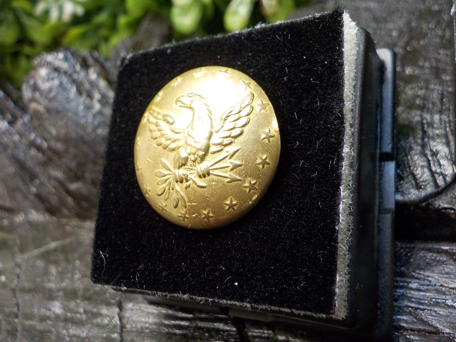 Old Rare Vintage Antique Relic Pre Civil War Militia Officers Coat Button w/Gold