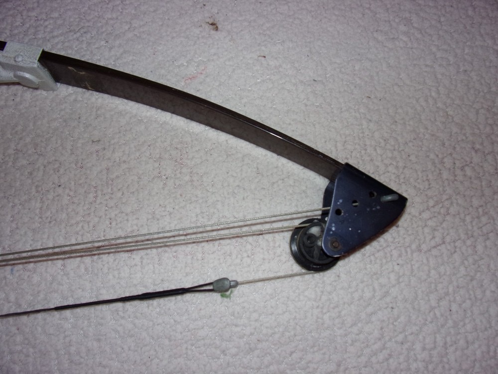 Bear Mini Magnum Compound Bow