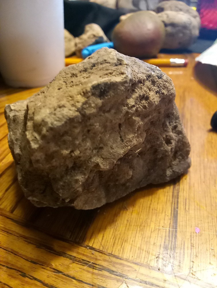 Fossils