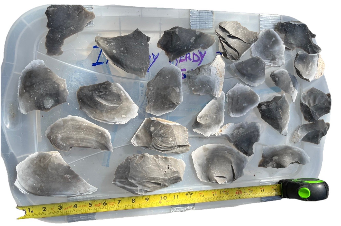 High Quality Heat Treated Georgetown Blue Flint Knapping (Big Spalls!!) 3 Pounds