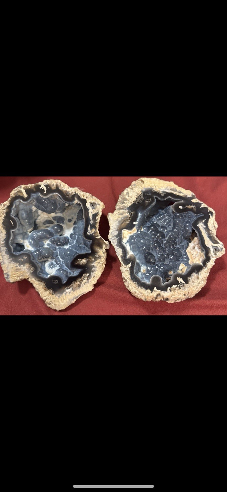 Rare Agatized Coral Fossil Geode -Large, Rare Colors!