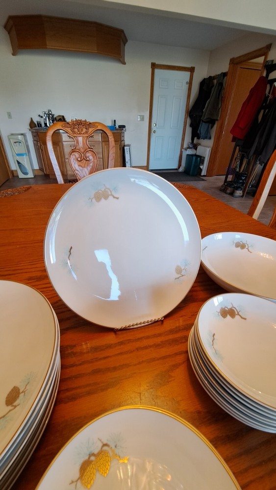 Fukagawa Arita Handpainted 41 Piece Grouping Dinnerware Pine Cone Pattern #904