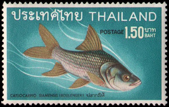 Thailand #507 MNH