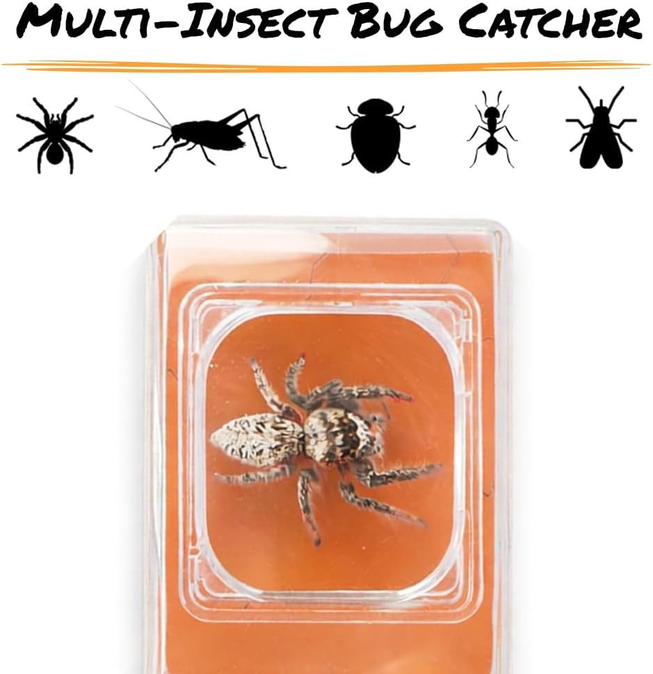 Carson Bugview 5X Magnifying Glass Quick-Release Bug Catcher Indoor and Outdoor