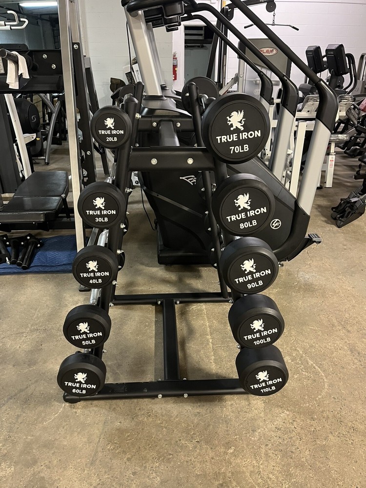 True Iron Ez Curl Fixed Barbell Sets With Rack!