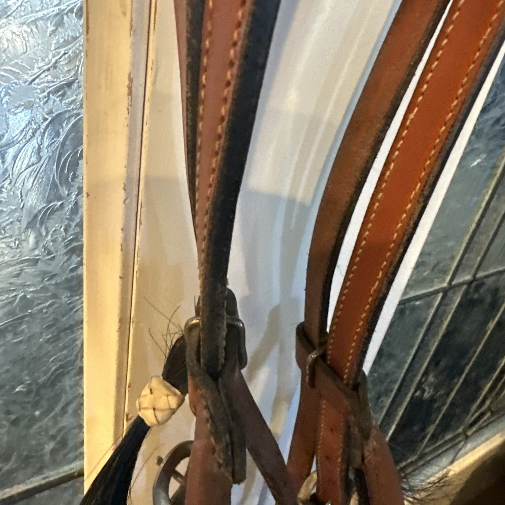 Bridle that combines side pull control with the action of a snaffle bit #R45