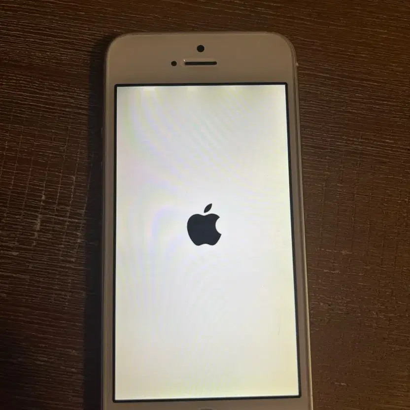 iPhone 5s 16GB Silver - Heavily Used, Screen & Speaker Issues