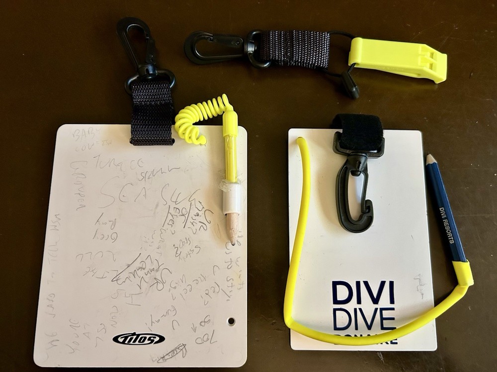 2 Used Diving Slates with Pencils