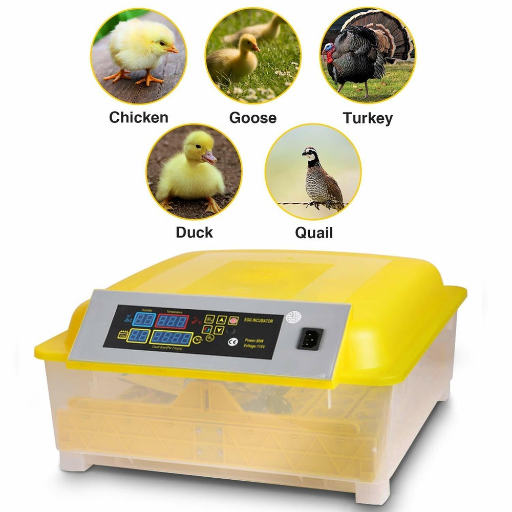 Egg Bird Incubator 48 Eggs Automatic Poultry Hatcher Breeder Digital Display