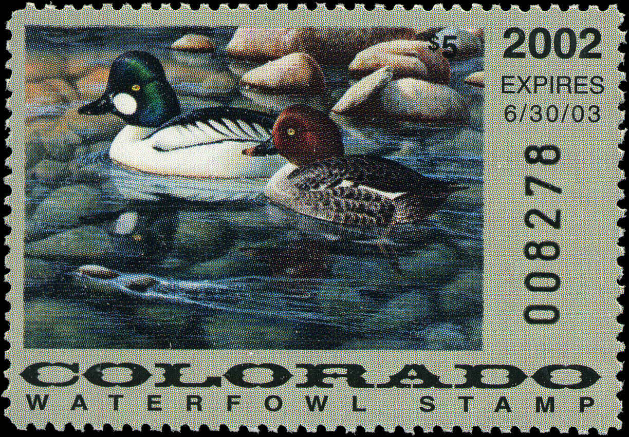 COLORADO #13 2002 STATE DUCK COMMON GOLDENEYE  by Cynthie Fisher