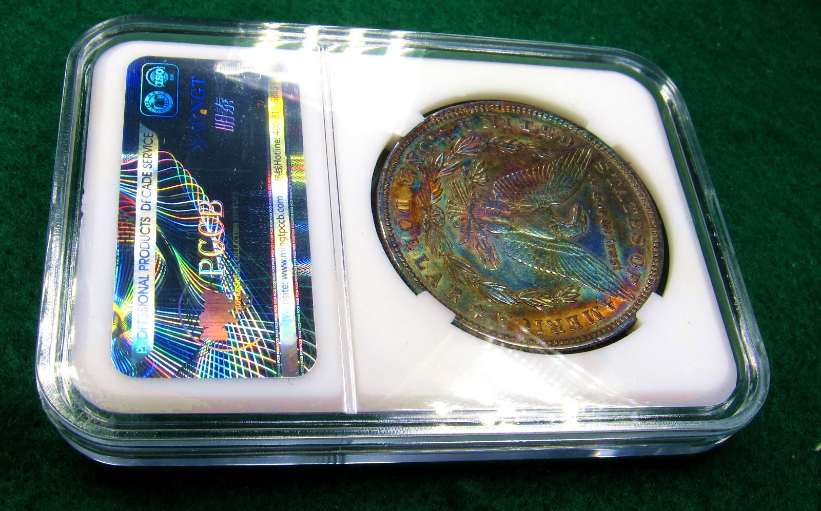 1896 Morgan Dollar Toned Silver ✪ MS ✪ Colorful Rainbow Toning~Gold Magenta Blue