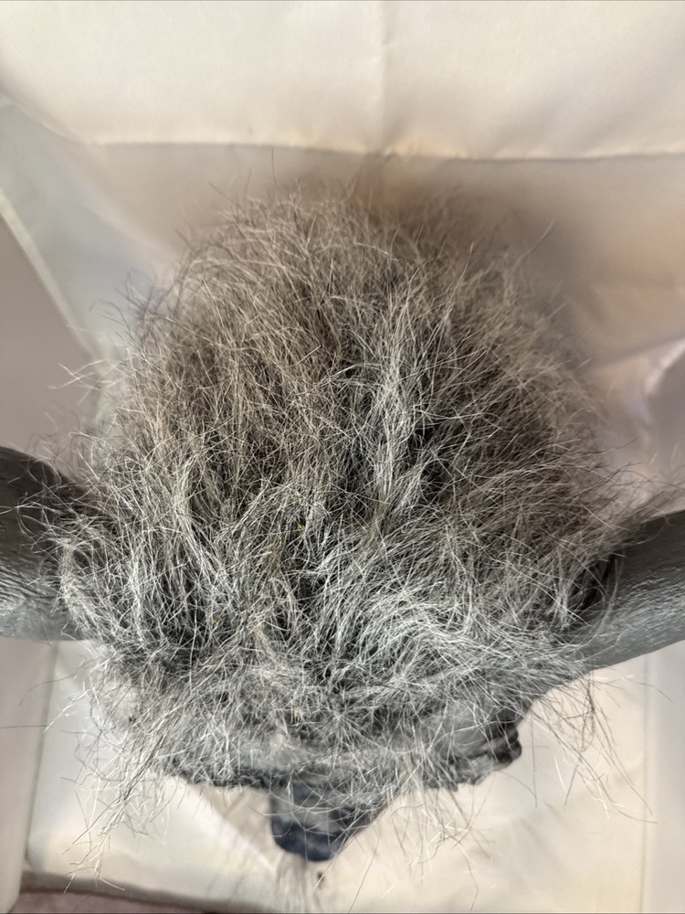 Warewolf Wolf Rubber Halloween Mask Unbranded 2014