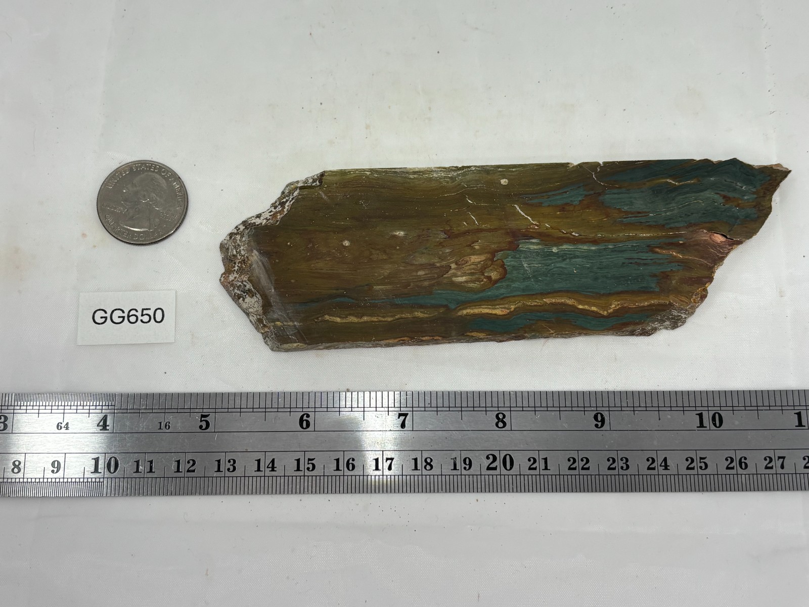 Gary Green Caldera Freedom Jasper Slab Cabbing Lapidary Combo Ship Avail