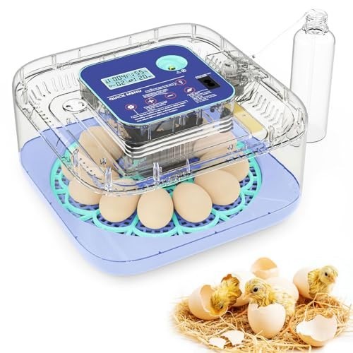 Smart Egg Incubator with Humidity Control, Auto Turner & 360° View for Hatching