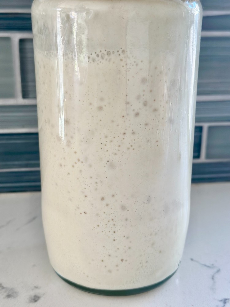 150+ Year Old San Francisco Sourdough Starter + Beginner Guide