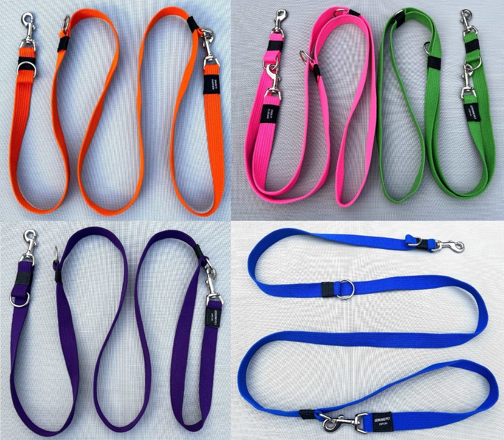 Multi-Function Dog Lead Training Leash Collar Webbing