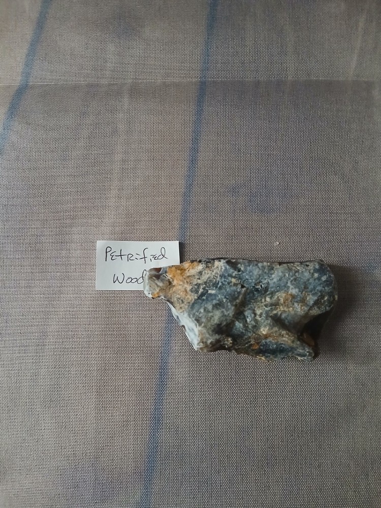 Petrified Wood Small
