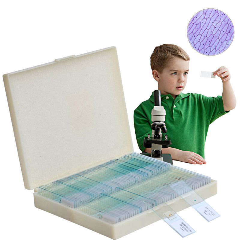 NEW! 100PCS Lab Biological Prepared Glass Microscope Slides Educational Specimen