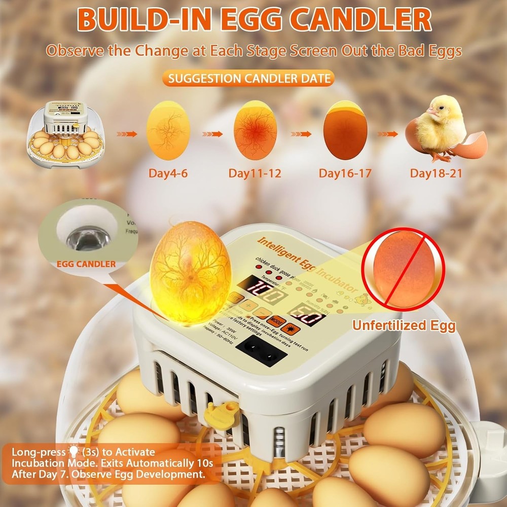 Egg Incubators for Hatching Eggs,12 Egg Incubator with Auto Egg Turning Humidity