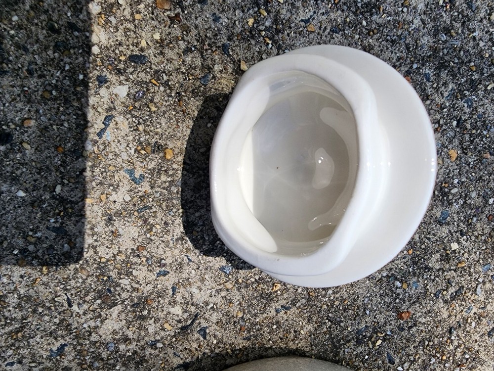 Impromptu By IROQUOIS White Pitcher