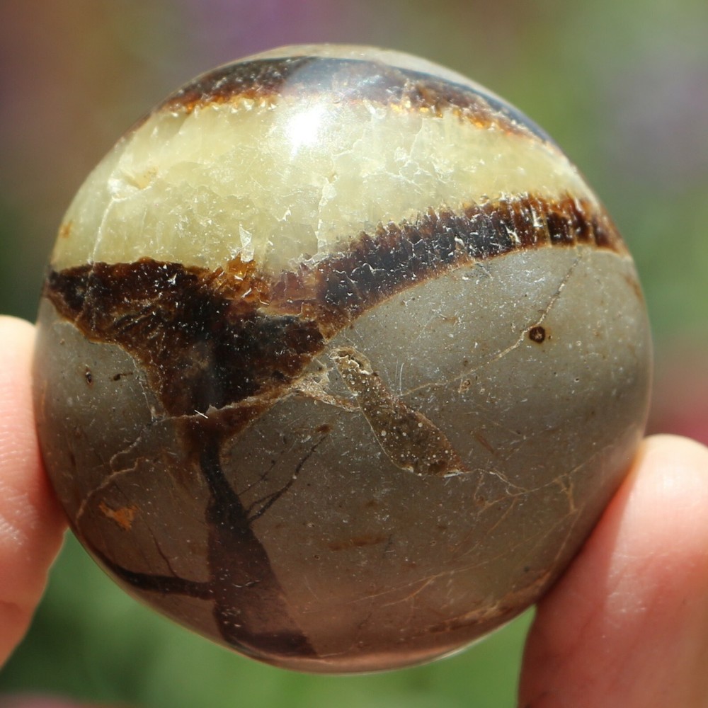 Polished Septarian Nodule (SEP99)