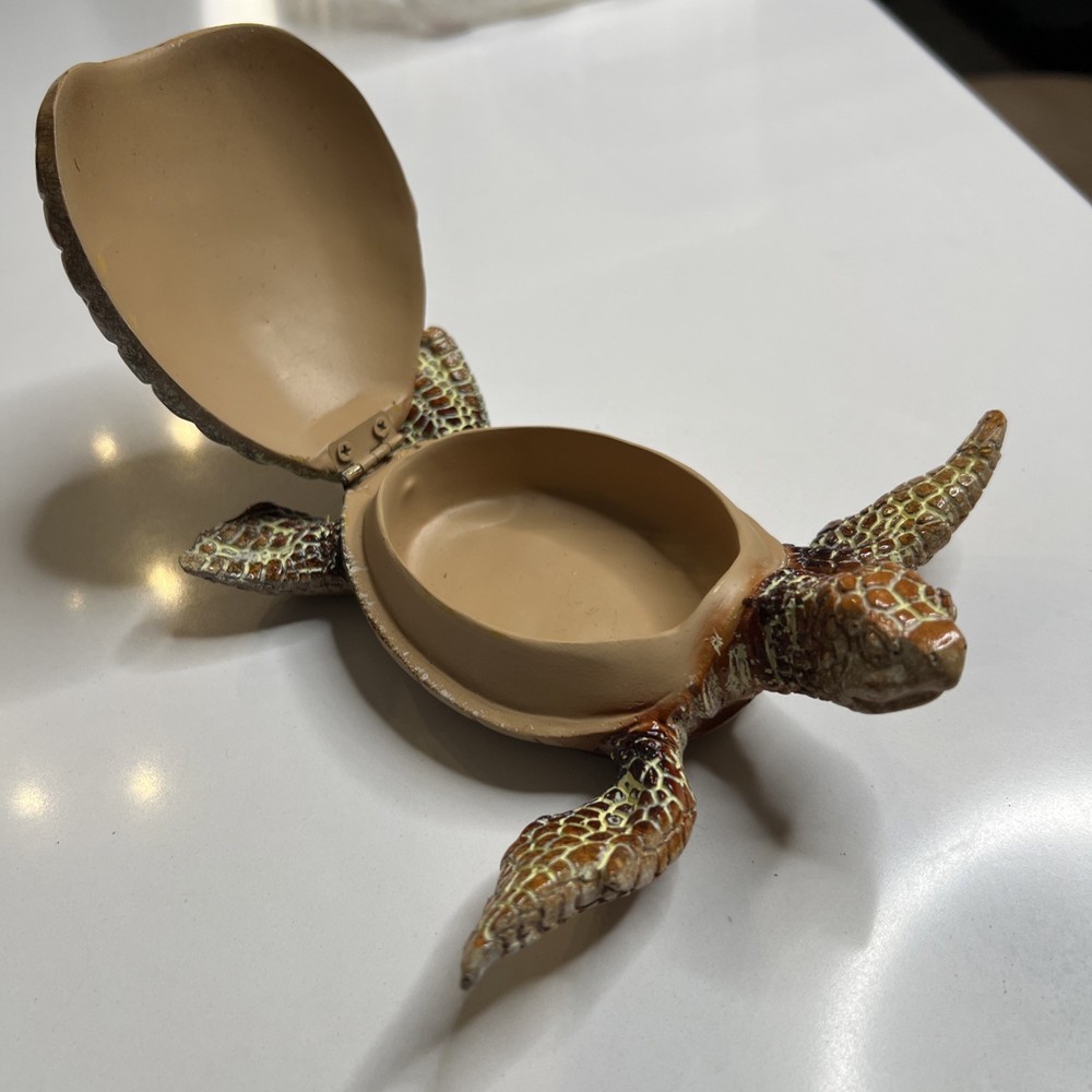 Turtles 5 Pieces Sea Turtles