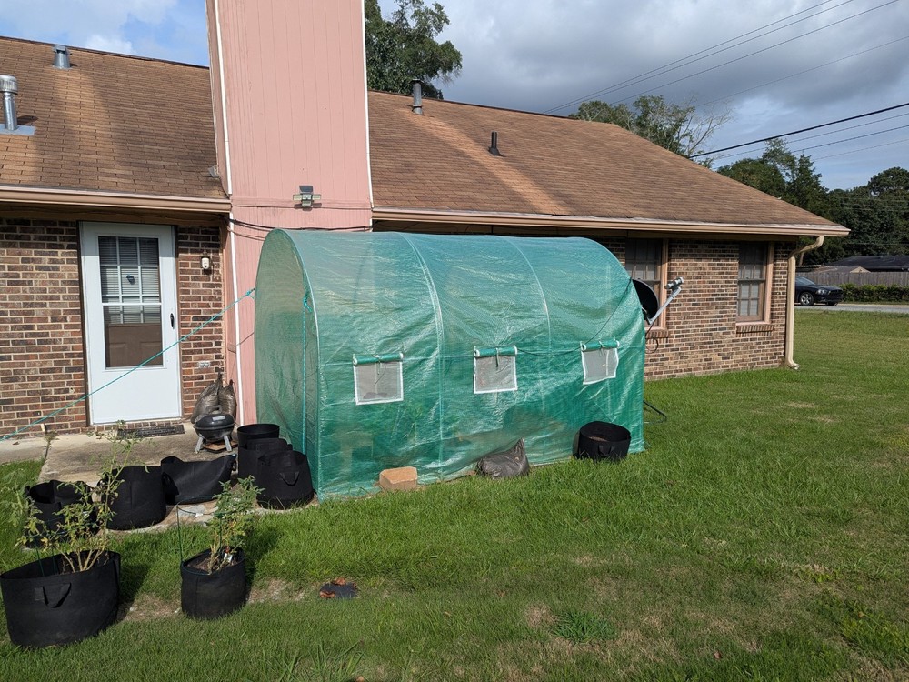 Green House