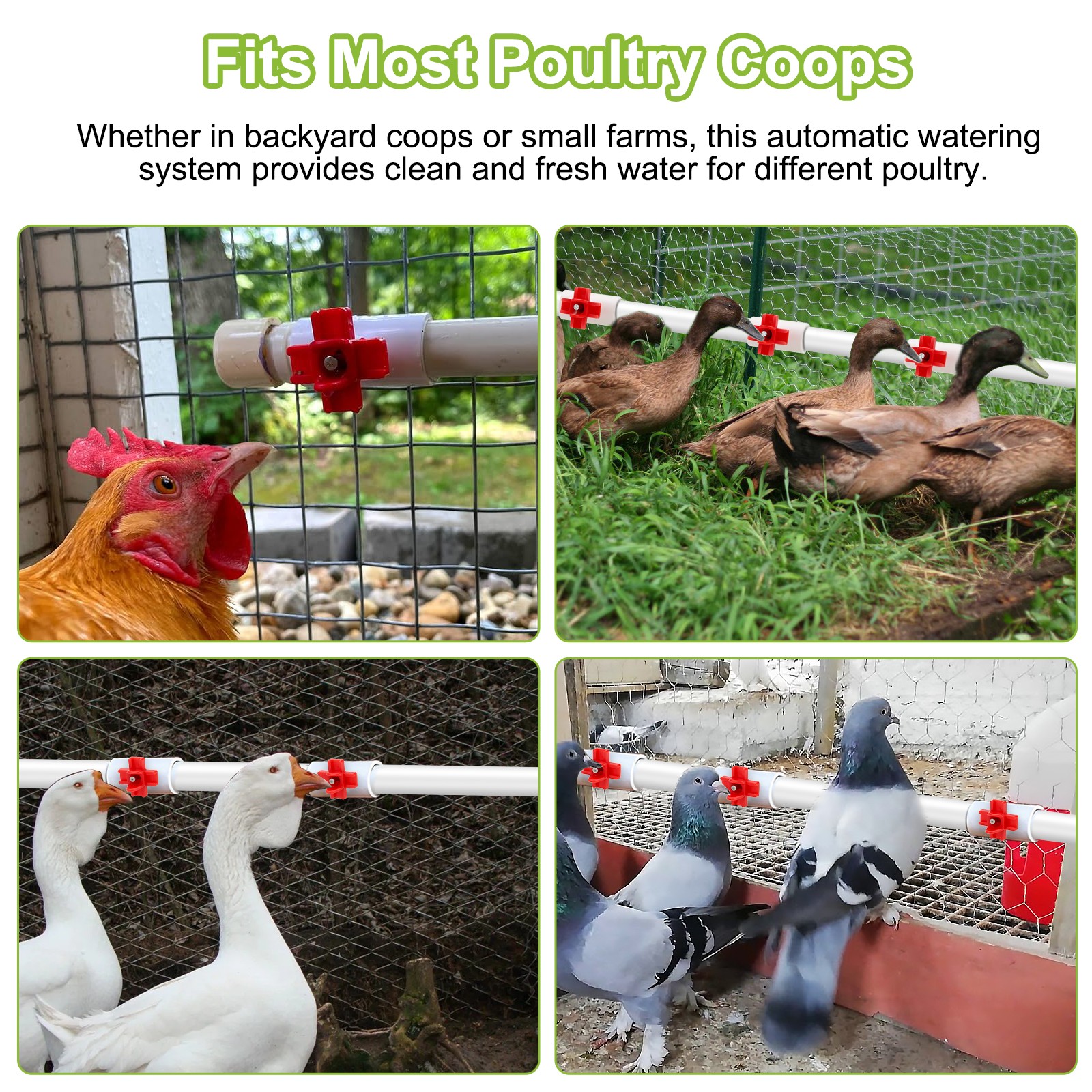 12PCS Chicken Nipples Waterer w/ 1/2'' PVC Tee Fittings DIY Auto Watering System