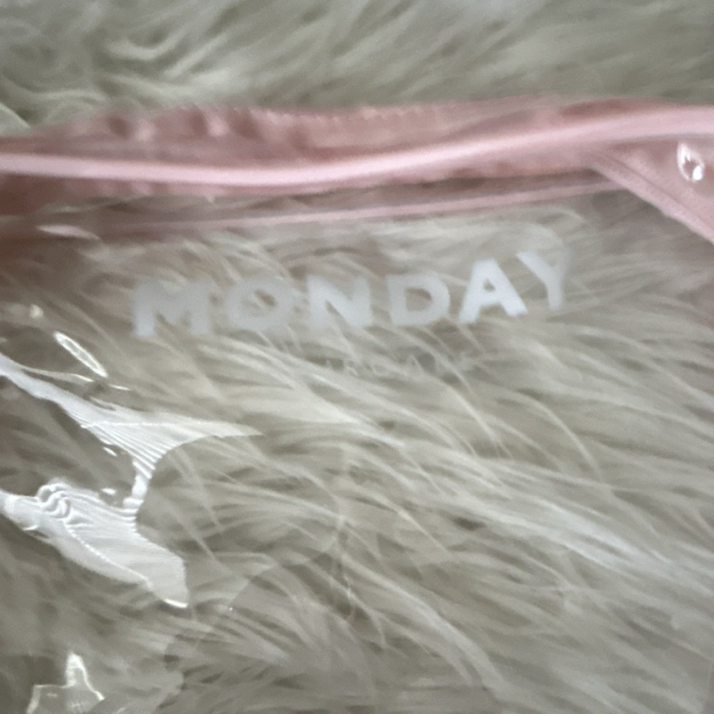 MONDAY Clear Pink Plastic Makeup Bag