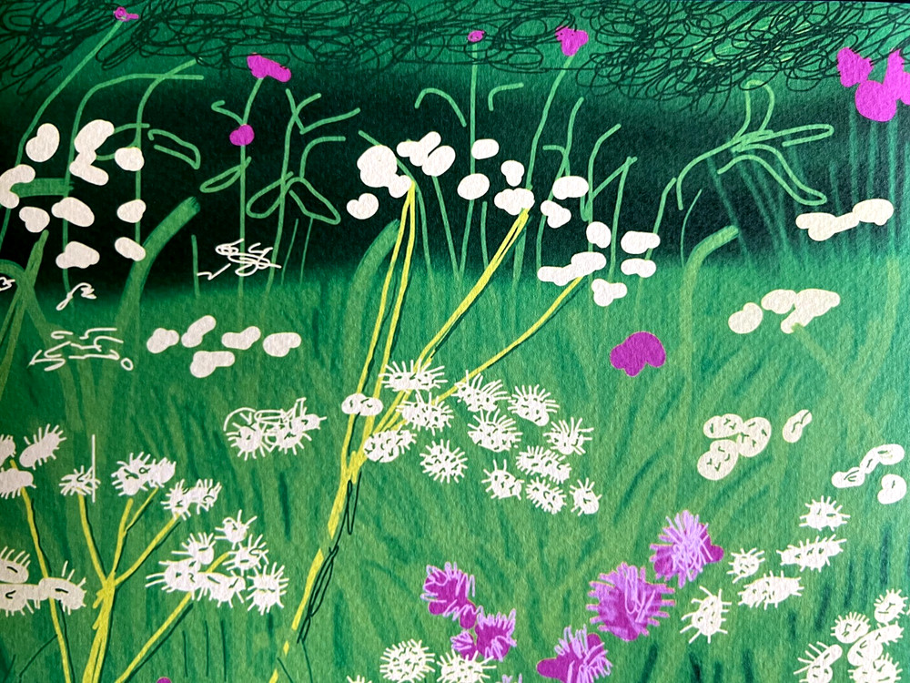 David Hockney Lithograph Handmade COA Signed Op Numbered Limited &