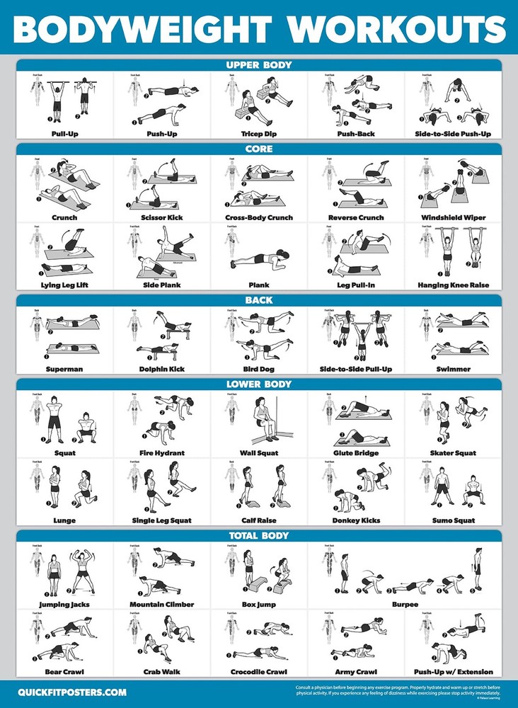 Palace Learning 3 Pack - Cable Machine Workout Posters 18" x 24", LAMINATED