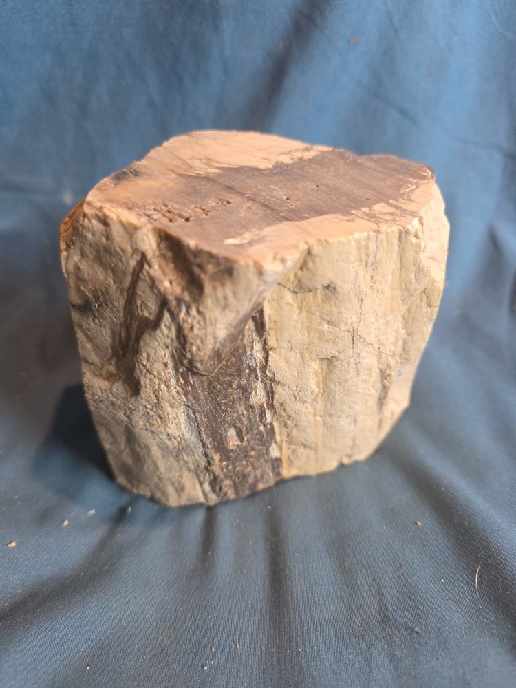 Petrified Wood Rough Approx 4x4 950 Grams