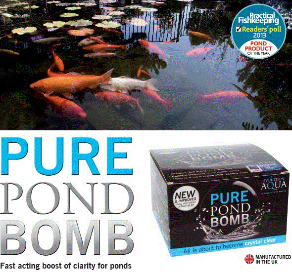 Evolution Aqua Pure Pond Bomb - Fast Acting Clarity Boost