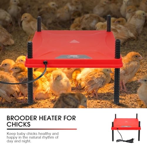 Chick Brooder Box,Chick Starter Kit with Chicken Brooder brooder plate L