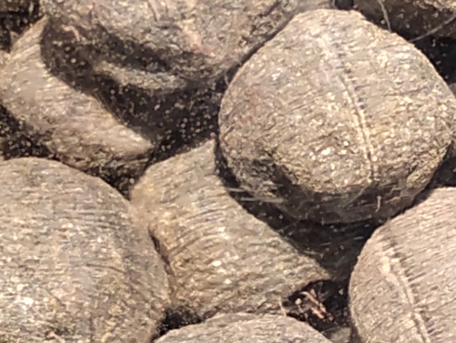 Vintage Pilot Knob Pellet Co. Iron Pellets - Missouri Mining History -...