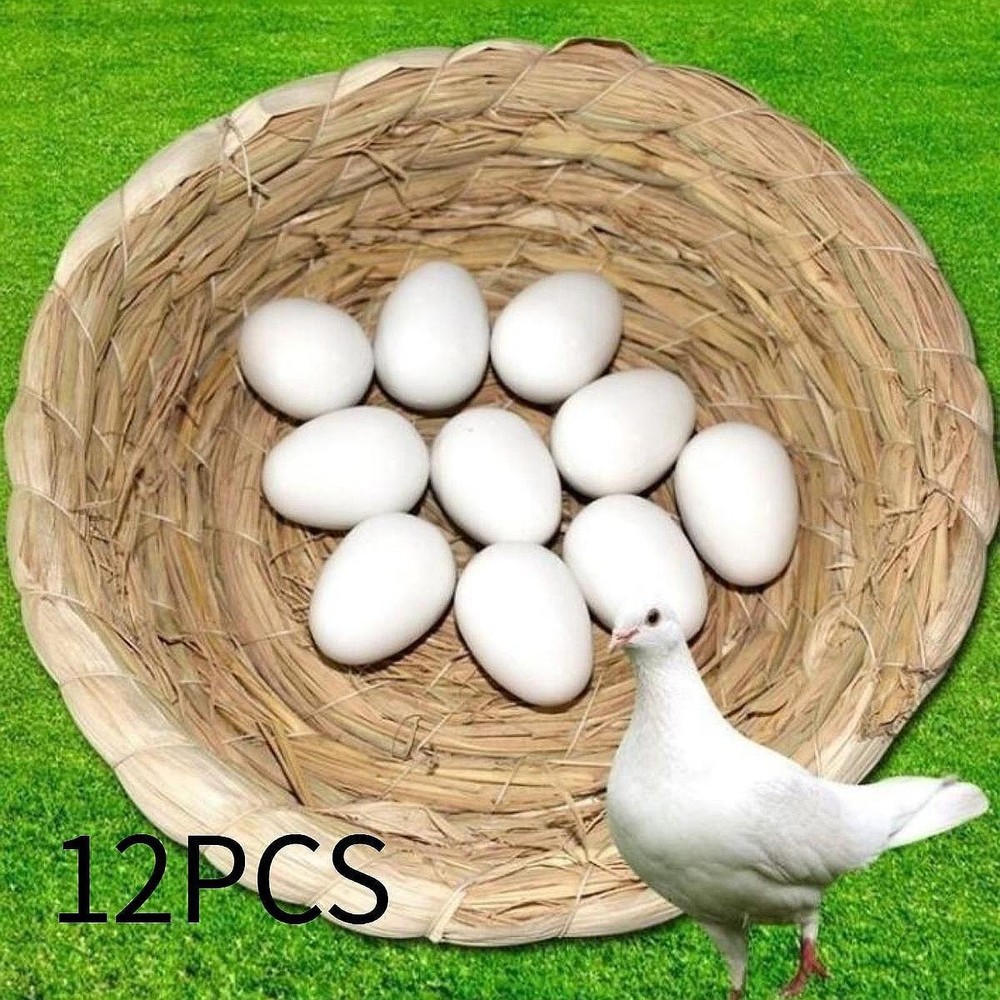 12x Solid Plastic Pigeon Eggs Simulation Eggs for The Birds to Stop Laying Eggs