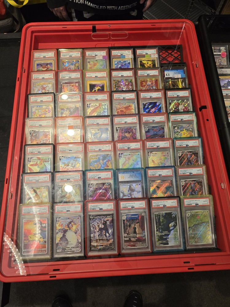 Display Case Card Riser Stands Compatible with Zion Case - 16 Risers 10.25" L