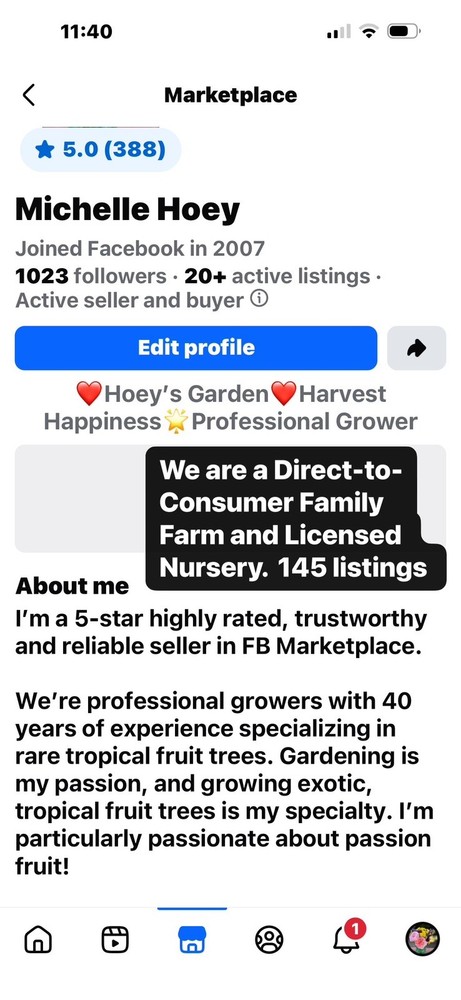 Grafted Yangmei Tree - ⭐️Improved Dongkui⭐️(2-year-old grafted)