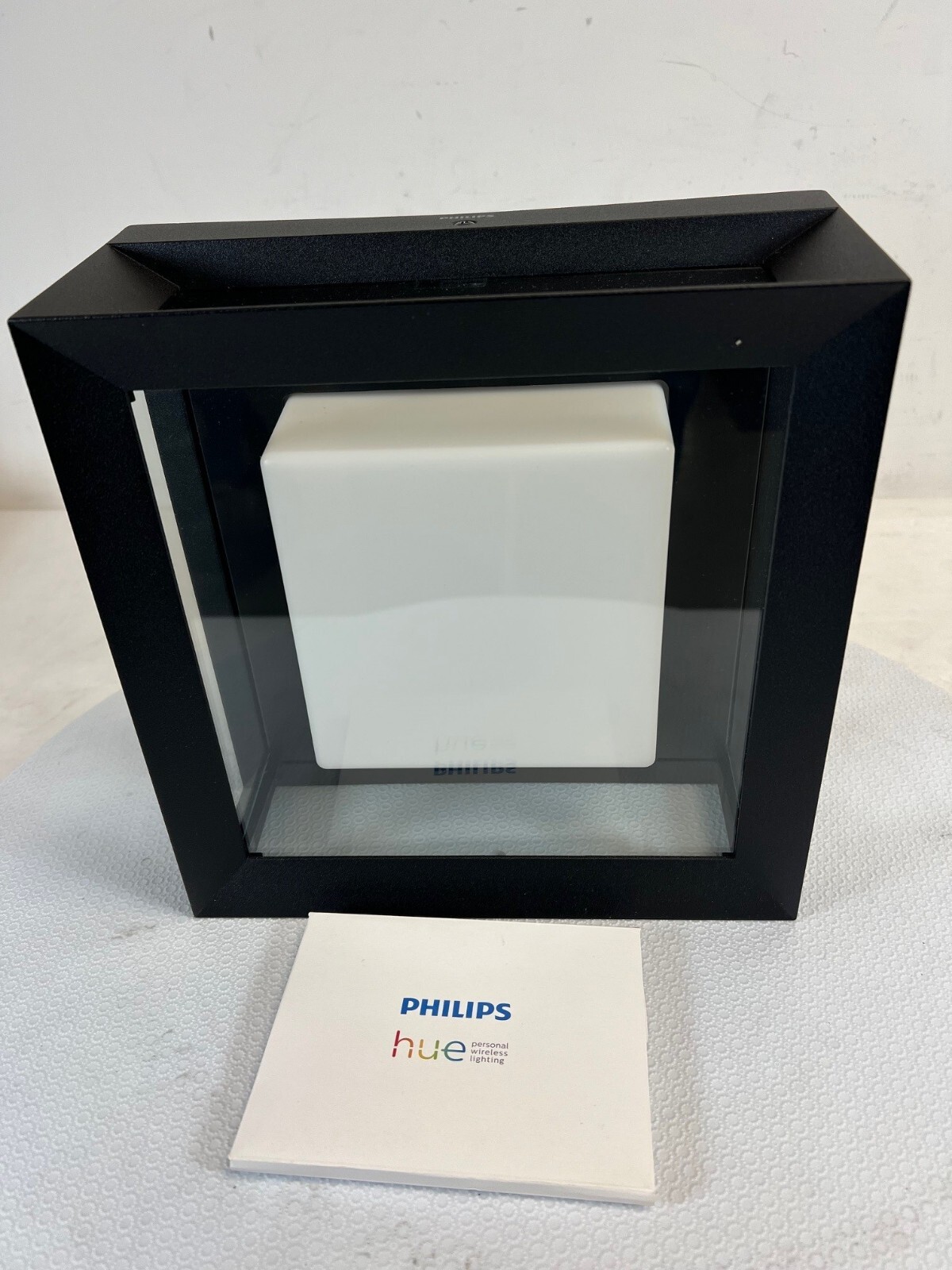 Philips Hue Econic Outdoor White & Color Wall & Ceiling Ambient Light Fixture