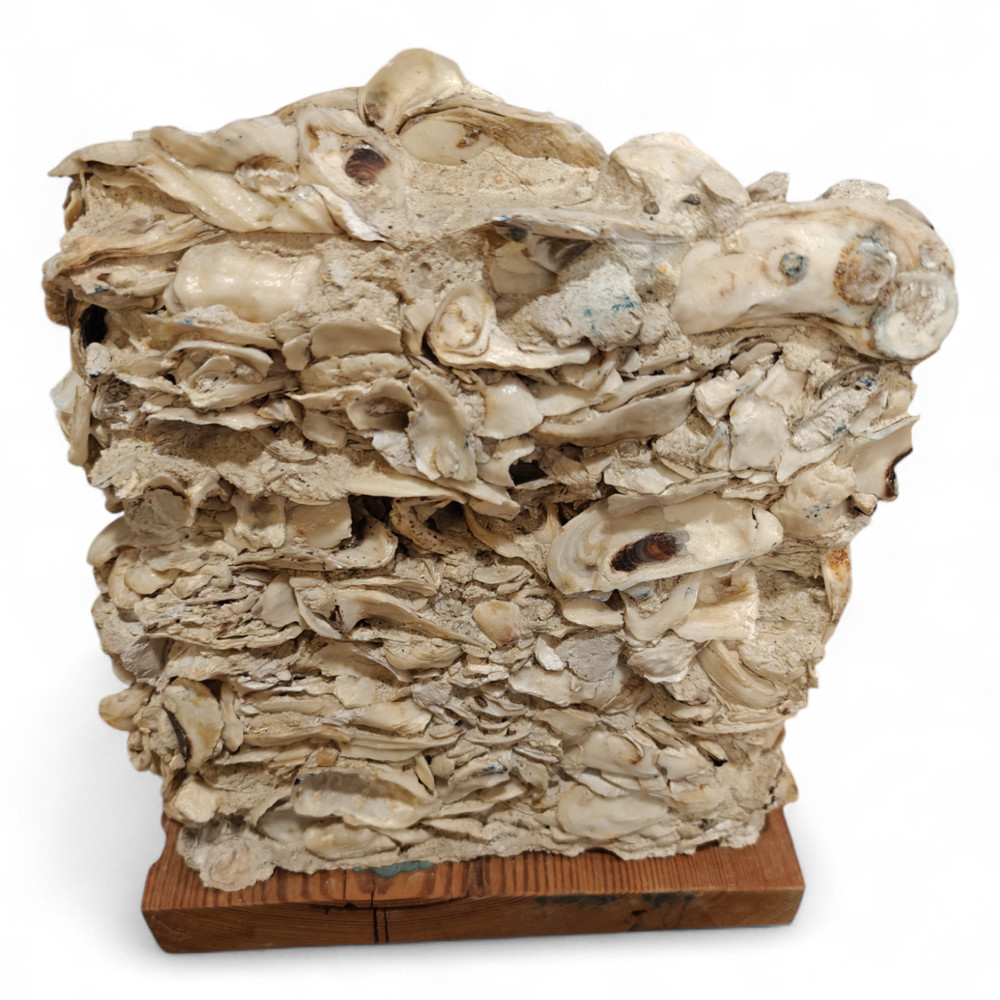Tabby Concrete Block Sample – Authentic Oyster Shell Construction Display