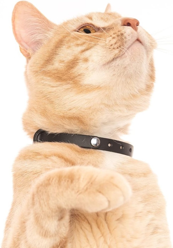Breakaway Cat Collar Set – Lightweight & Comfortable Safety for Cats
