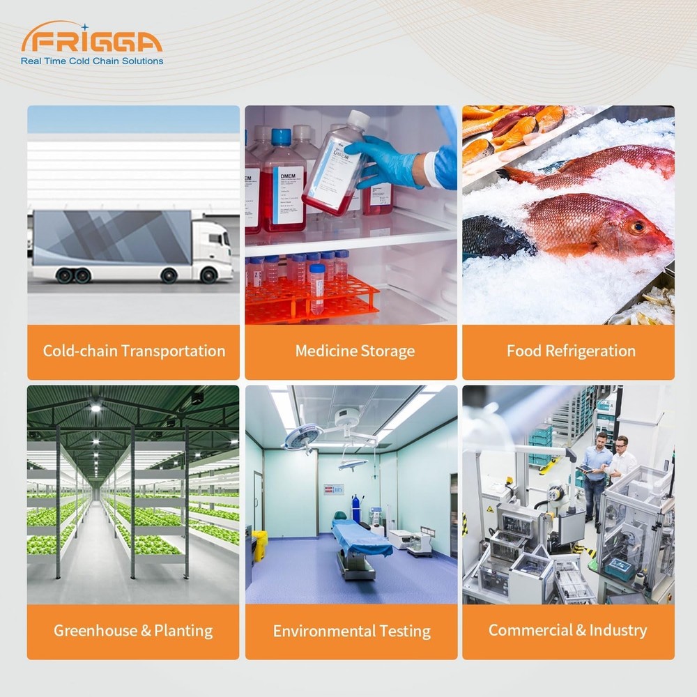 Frigga M2D Reusable Temperature Data Logger Multi-Use USB Digital Temperature Re