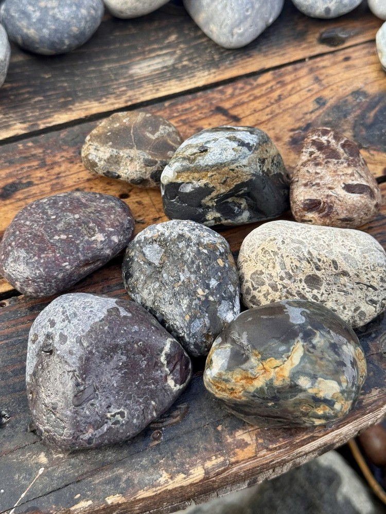 Rocks For Tumble 2 Lbs