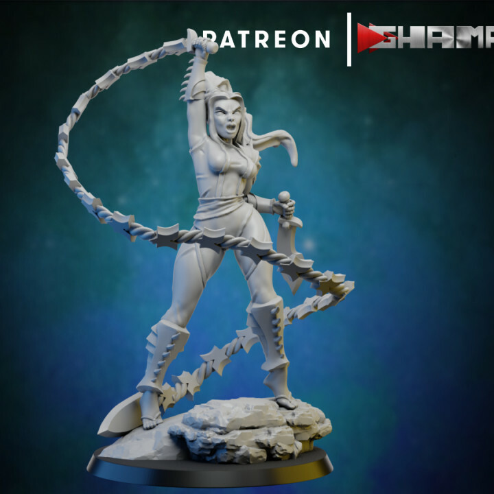 Wargames Compatible - Dark Succubi - Eldar Ones