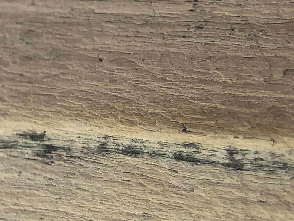 Petrified Wood 2.5 oz.