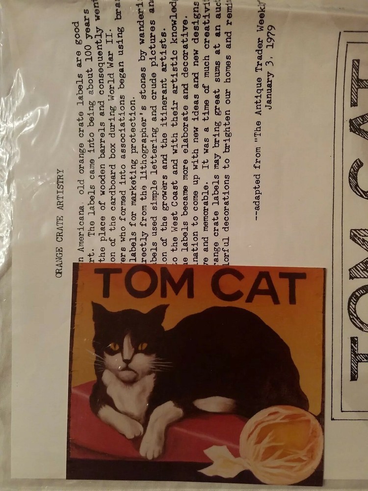 MORENE SCHULTZ 1982 ORANGE CRATE ART TOM CAT PAINTING PATTERN