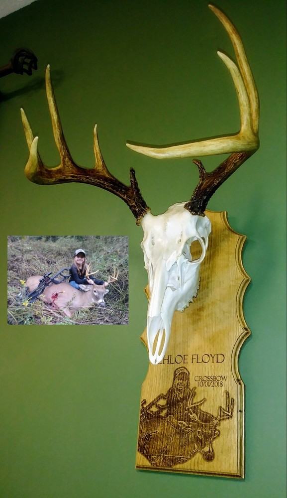 Personalized European Deer Drop Down Skull Trophy Engraved Wall Mount