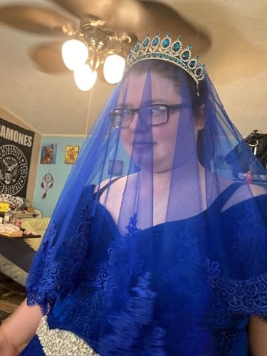 Wedding Bride Veil Beautiful Long Veil with lace at Edge Waist Length