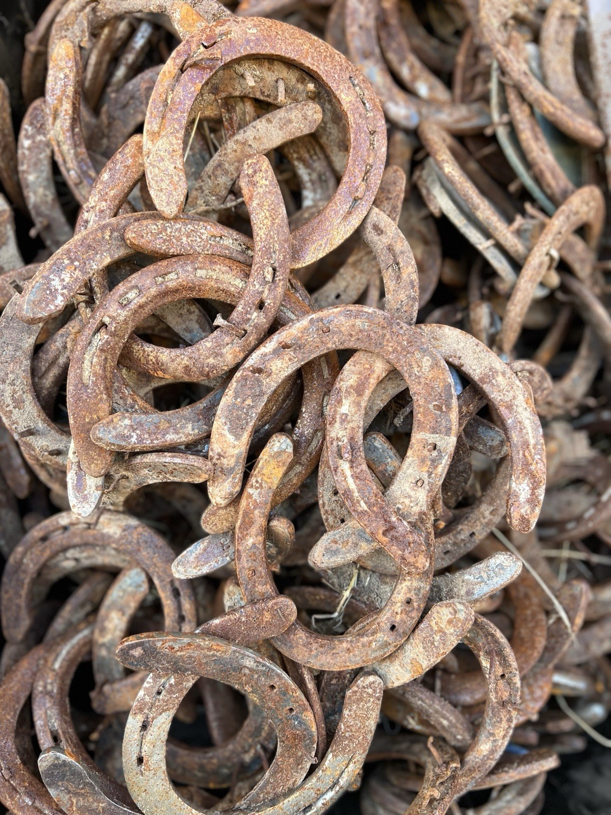 50 Used Steel Nevada Rusty Horseshoes W/Nails Lot Art Decor Rustic Western Weld